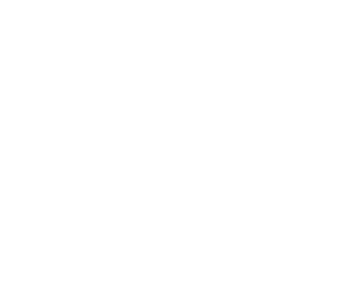 logo blanco.png